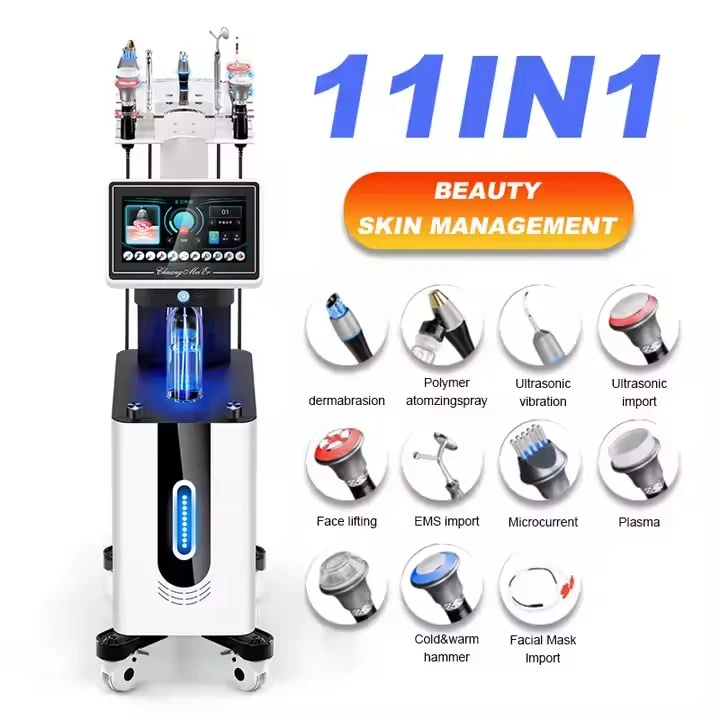 11 in 1 Meaisín Hydradermabrasion